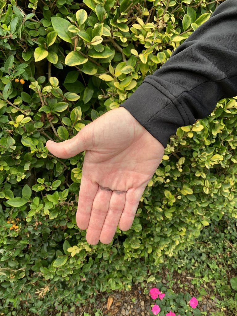 A hand is stretched out in front of some bushes.